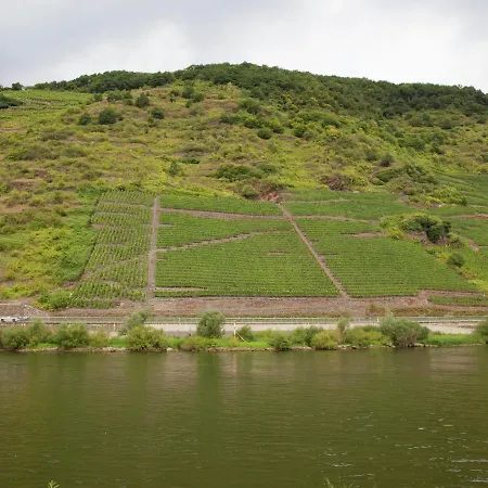 Pleasant In Bei Cochem With Garden