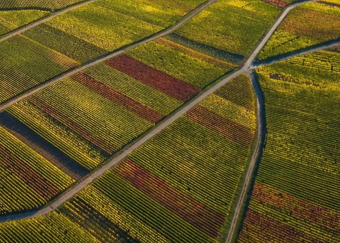 Lakeside Escape Lejlighed